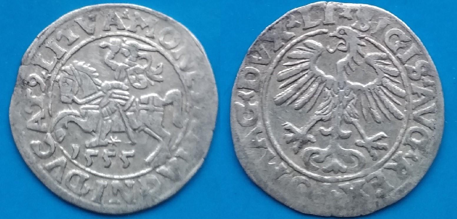 LDK - Ž. Augusto 1555 m. PUSGRAŠIS