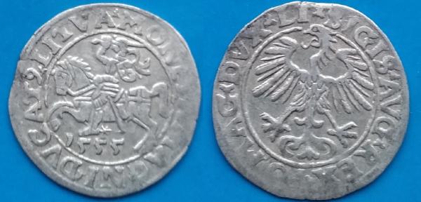 LDK - Ž. Augusto 1555 m. PUSGRAŠIS