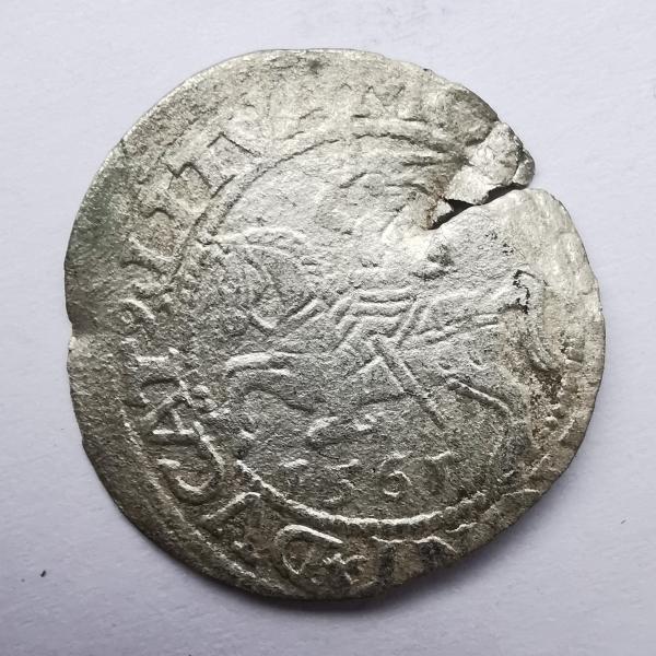 Žygimanto Augusto 1561 pusgrašis 