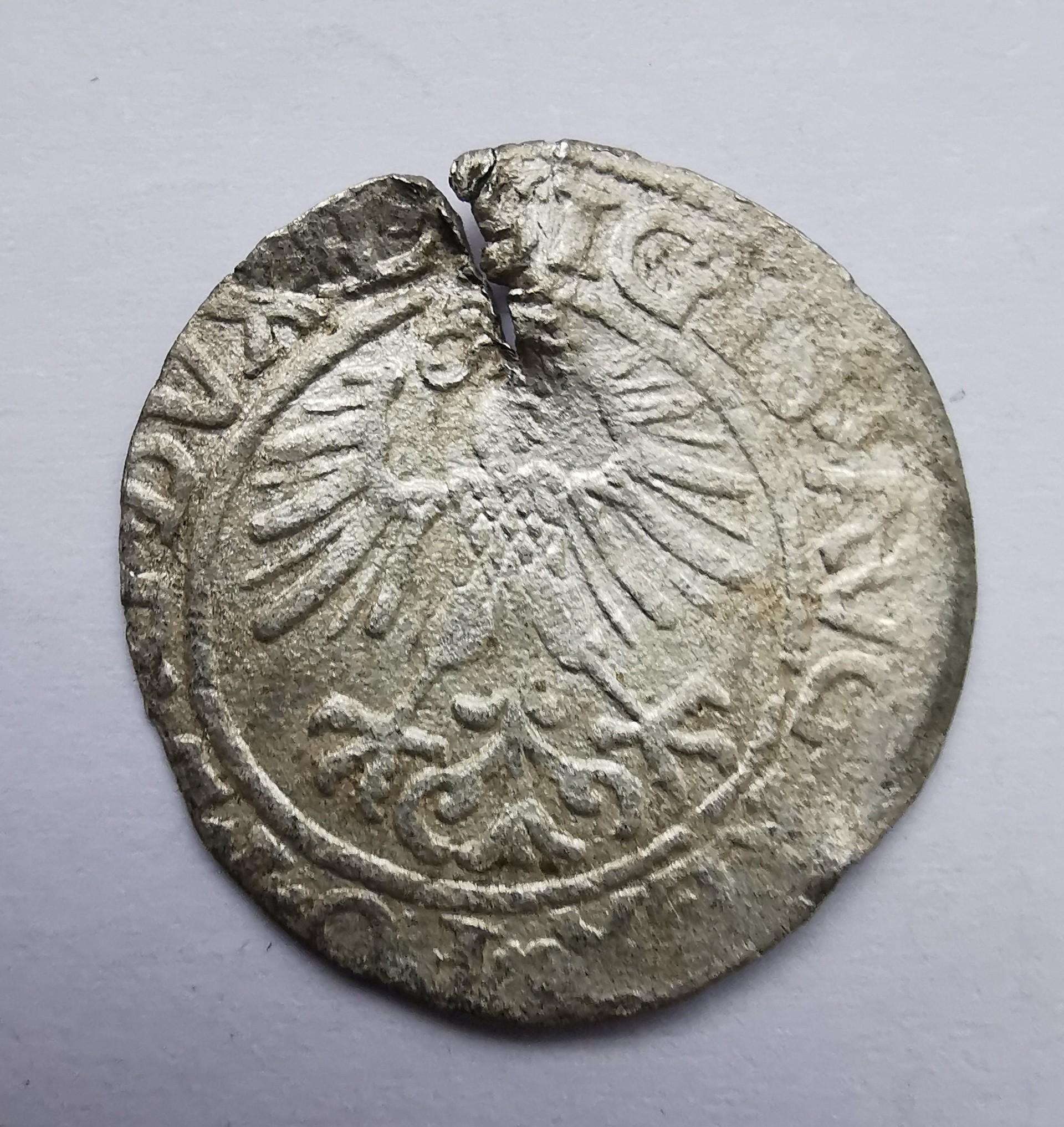 Žygimanto Augusto 1561 pusgrašis 