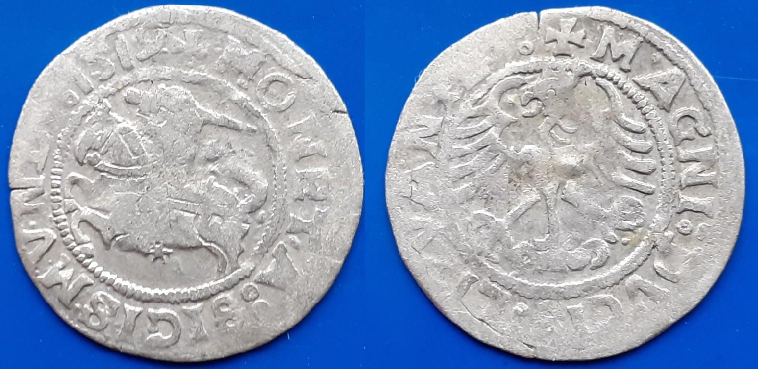 LDK - Žygimantas Senasis Pusgrašis 1519 m.