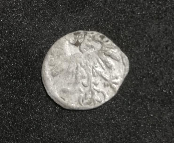 Žygimanto Augusto 1559 metų Lietuviškas Denaras
