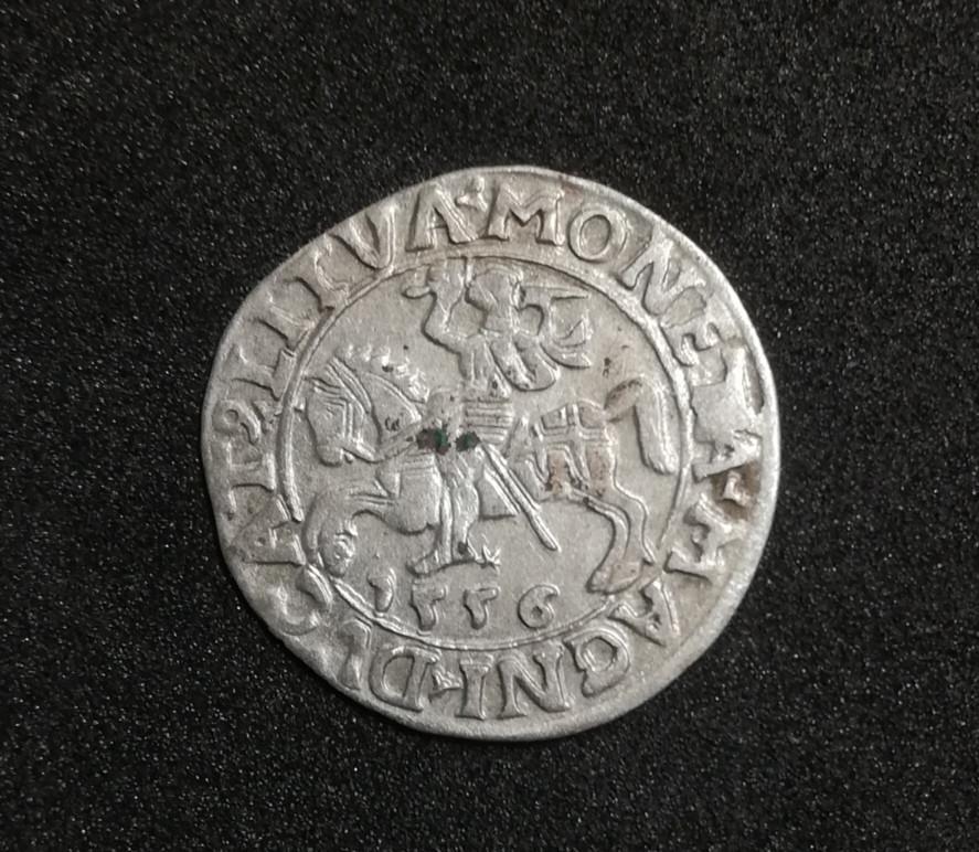 Žygimanto Augusto 1556m pusgrašis