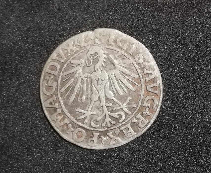 1548 Žygimanto Augusto Lietuviškas Pusgrašis