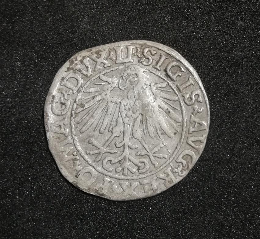 1548 Žygimanto Augusto Lietuviškas Pusgrašis