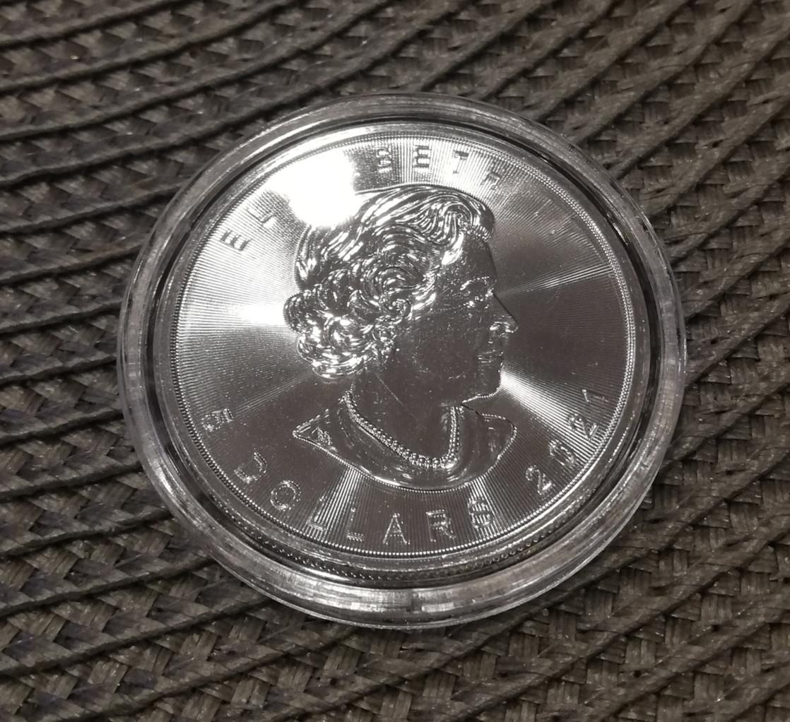 1 oz Sidabrinė Moneta 