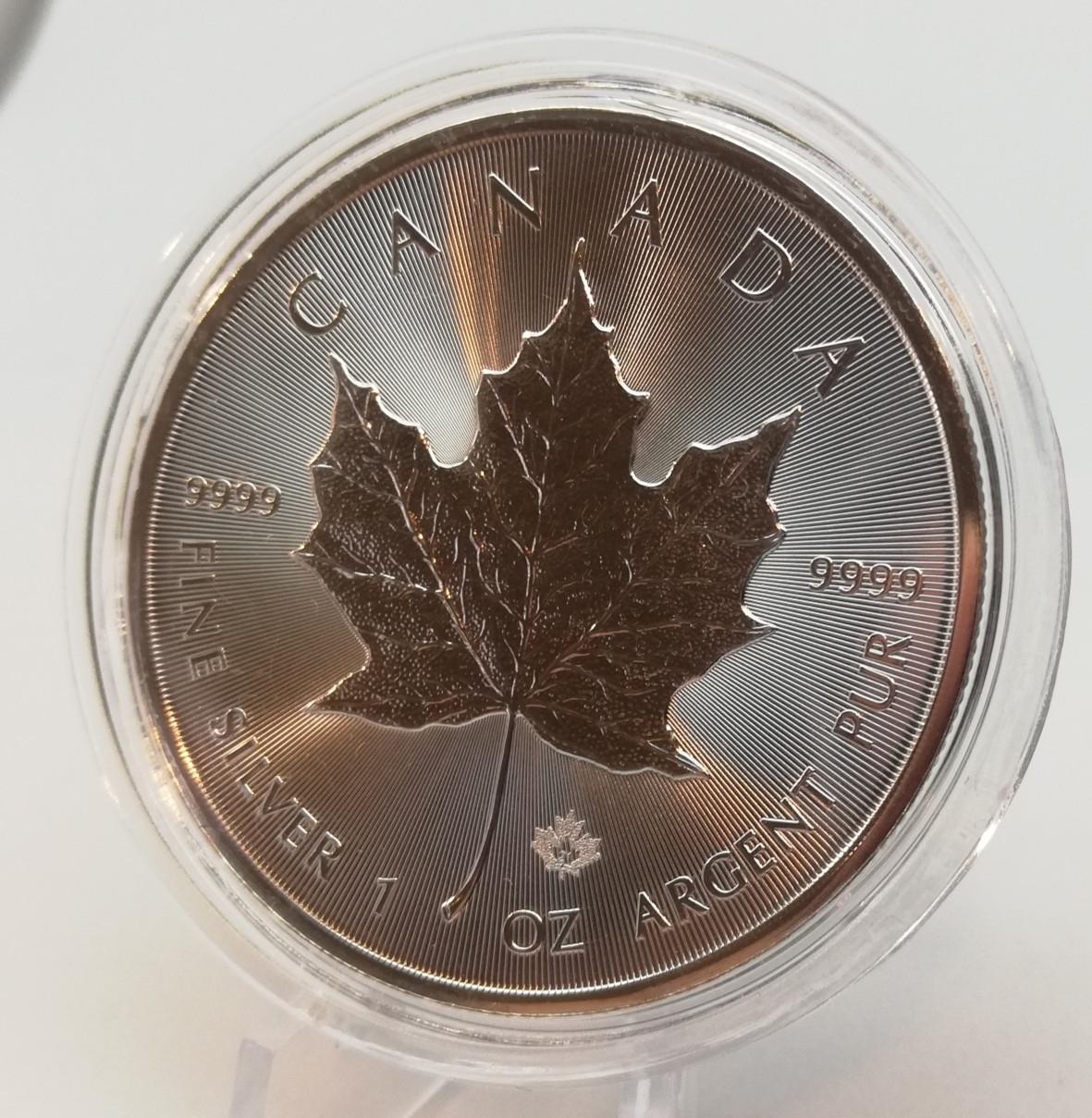 1 oz Sidabrinė Moneta 
