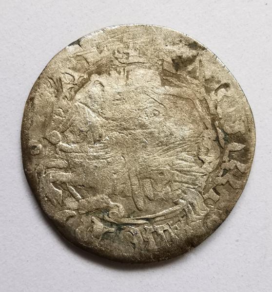 Aleksandro Jogailaičio gotikinis/renesansinis pusgrašis 1495-1506 