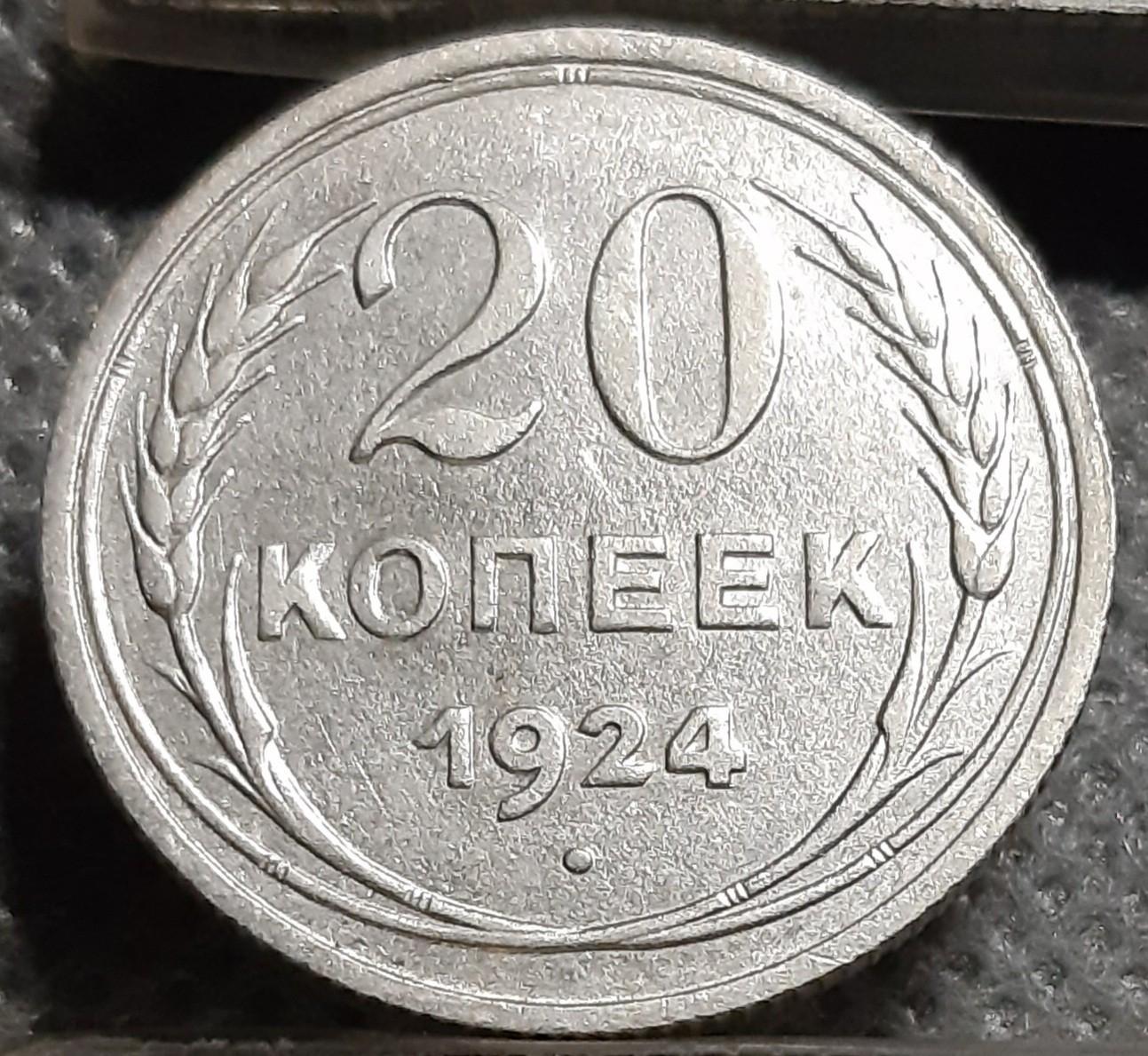 TSRS 20 Kapeikų 1924 Y#88 Sidabras (1041)