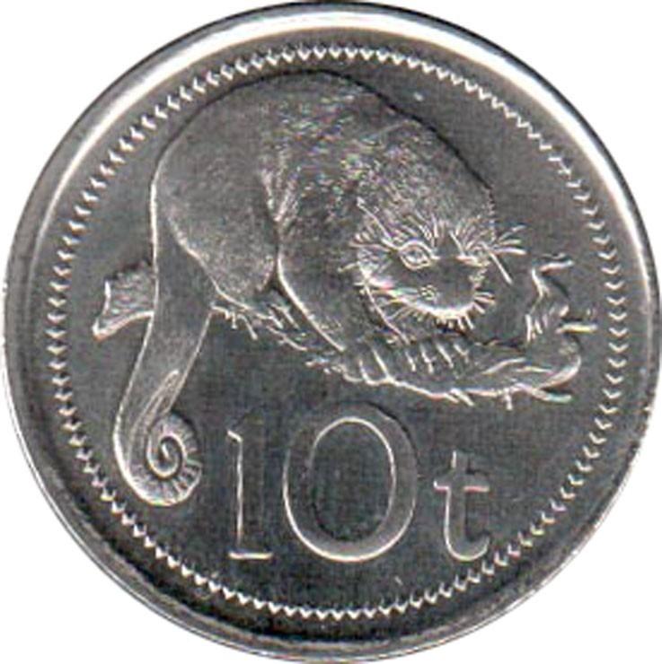 10 tojų Naujoji Gvinėja, 2005