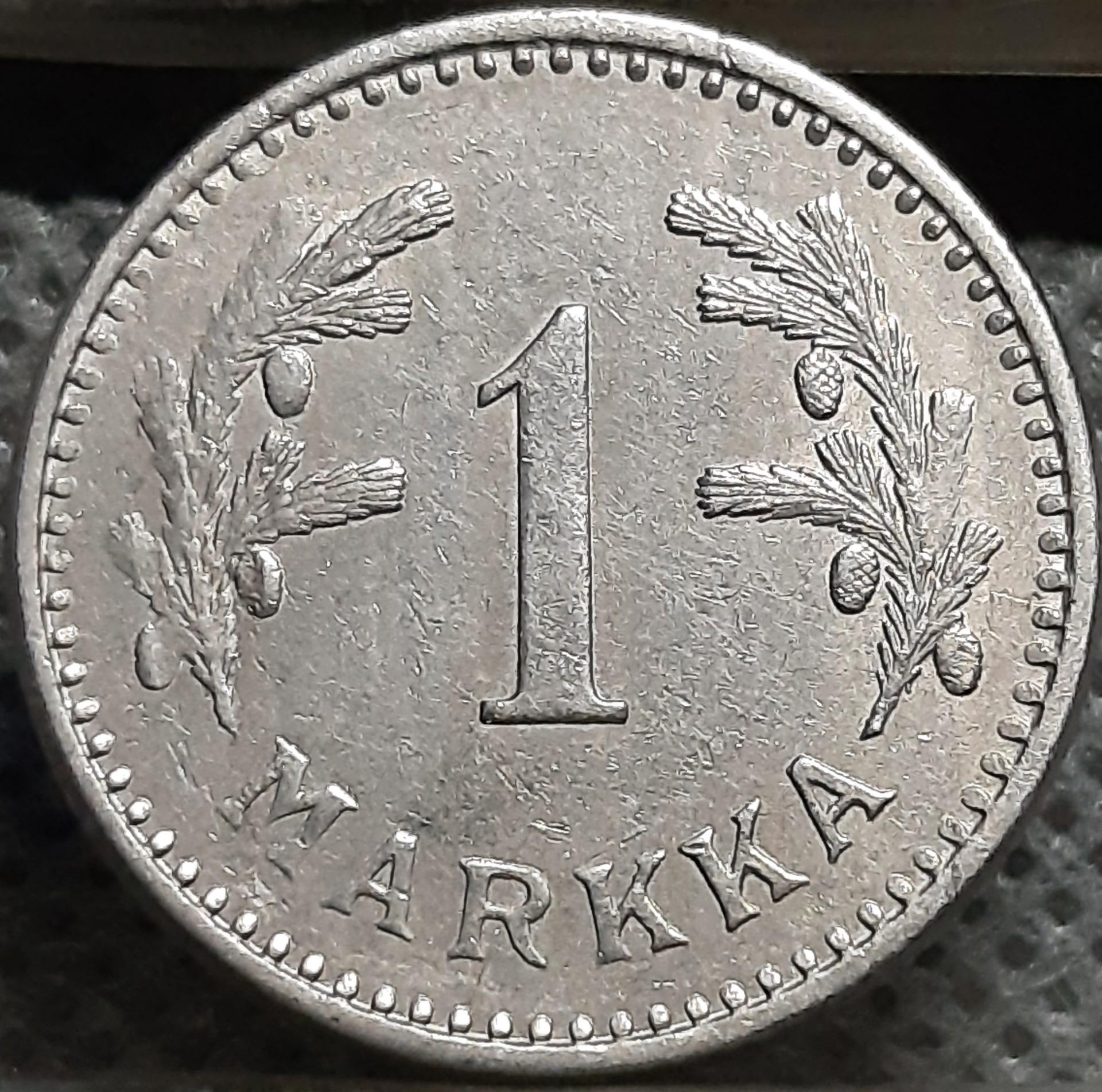 Suomija 1 Markė 1929 KM#30 (1566)