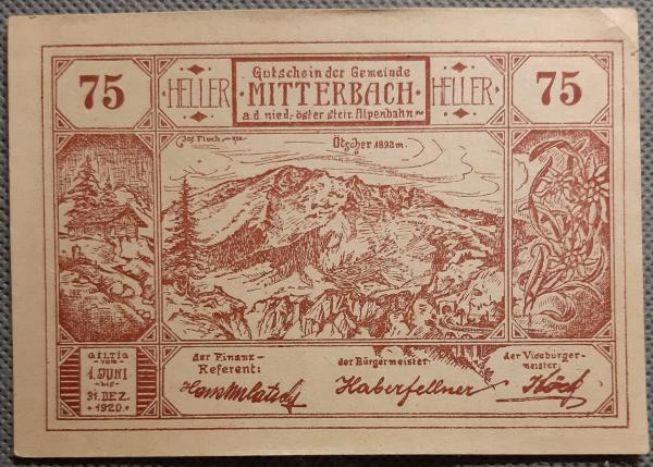 Austrija 75 Heleriai 1920 N#213846 (2050)