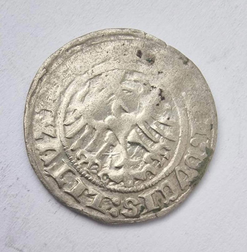 Žygimanto Senojo 1513 pusgrašis 