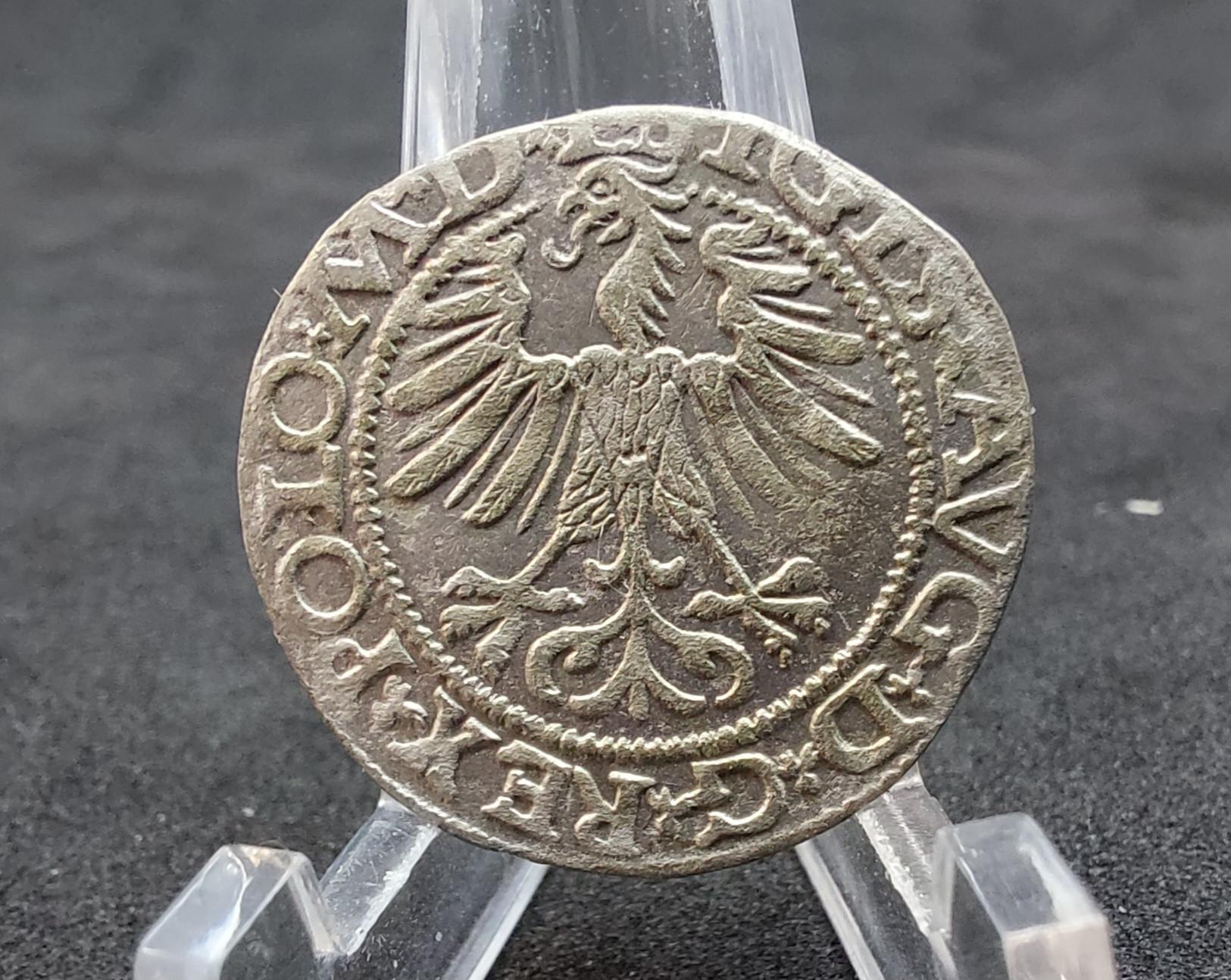 Gražus Lietuviškas Žygimanto Augusto Pusgrašis 1565
