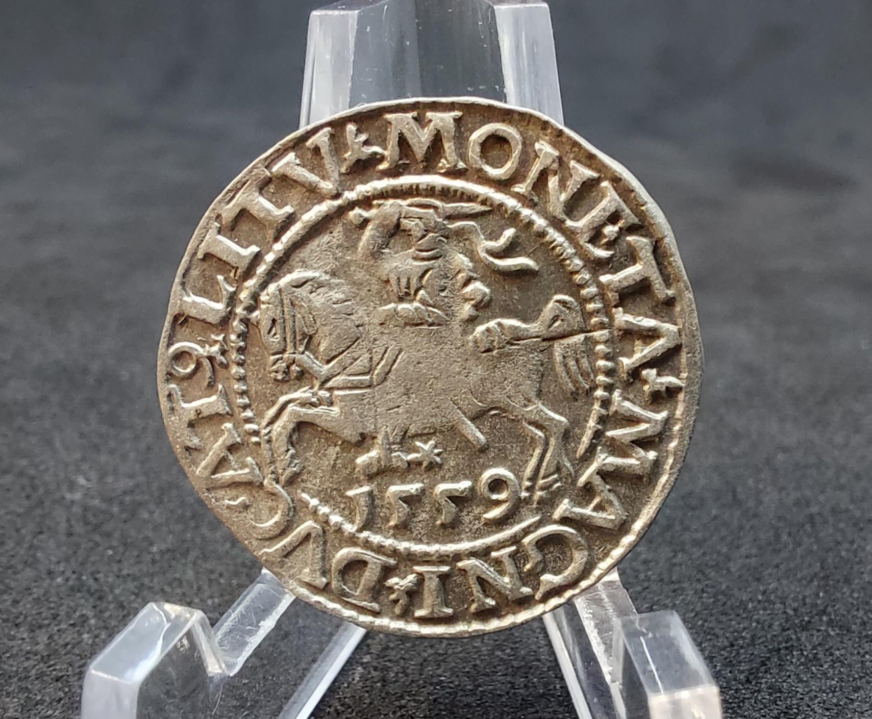Gražus Lietuviškas Žygimanto Augusto Pusgrašis 1559