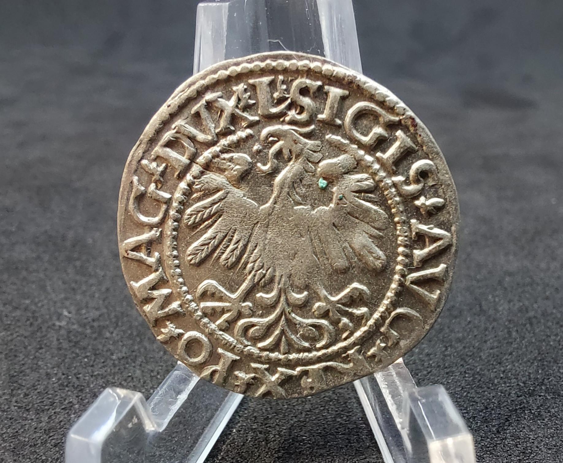Gražus Lietuviškas Žygimanto Augusto Pusgrašis 1559