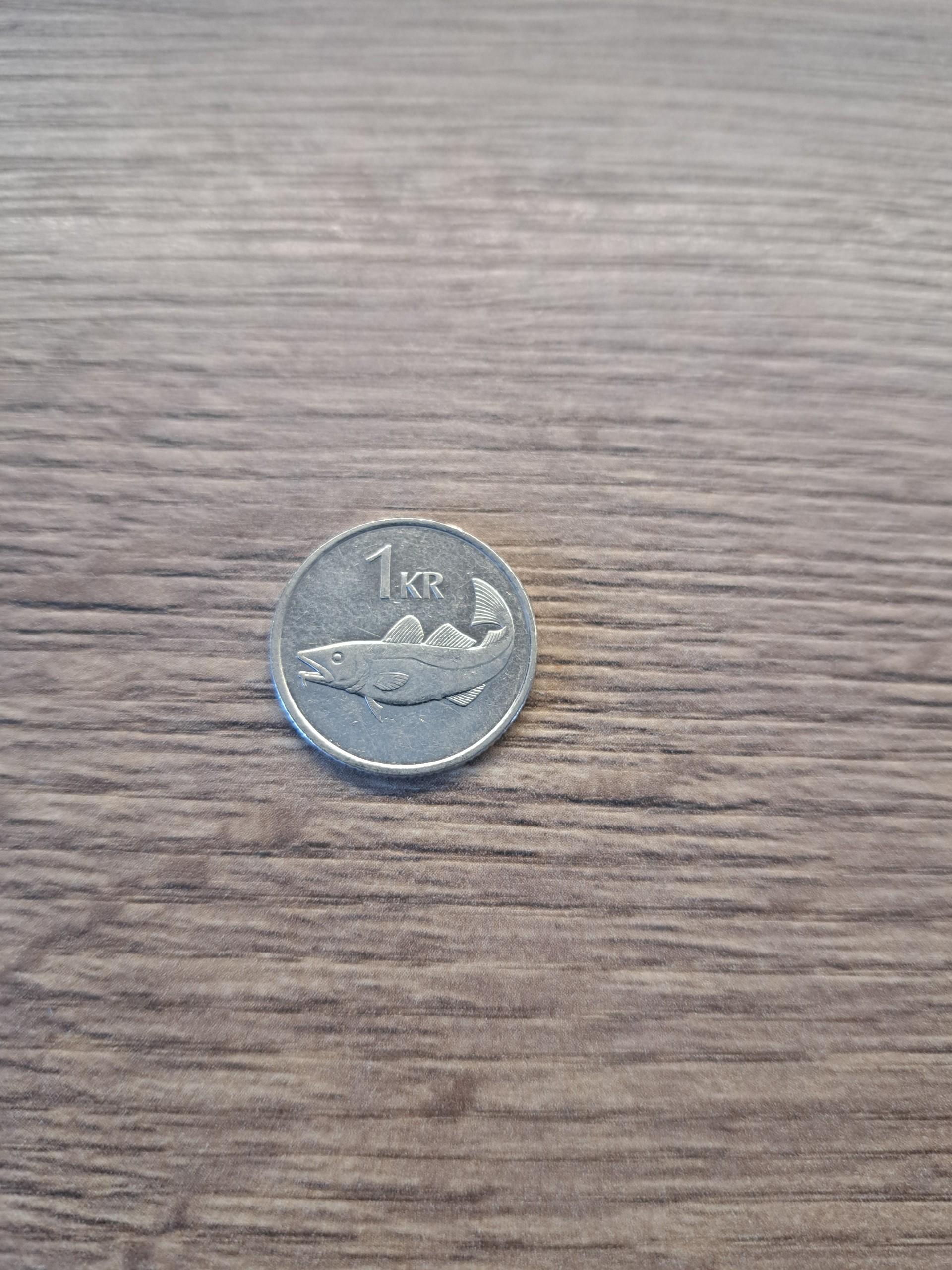 Islandija 1 krona 1999