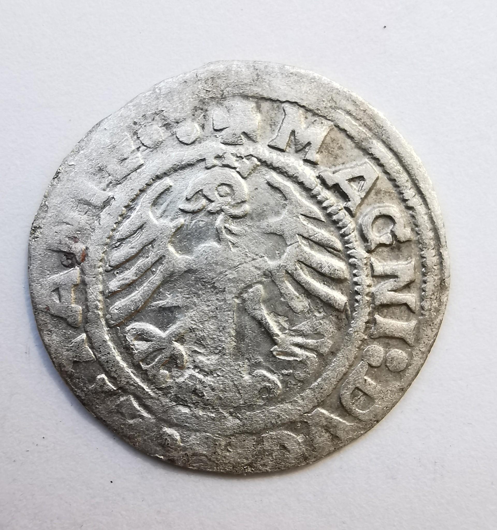 Retas Žygimanto Senojo 1519 pusgrašis LITANIE