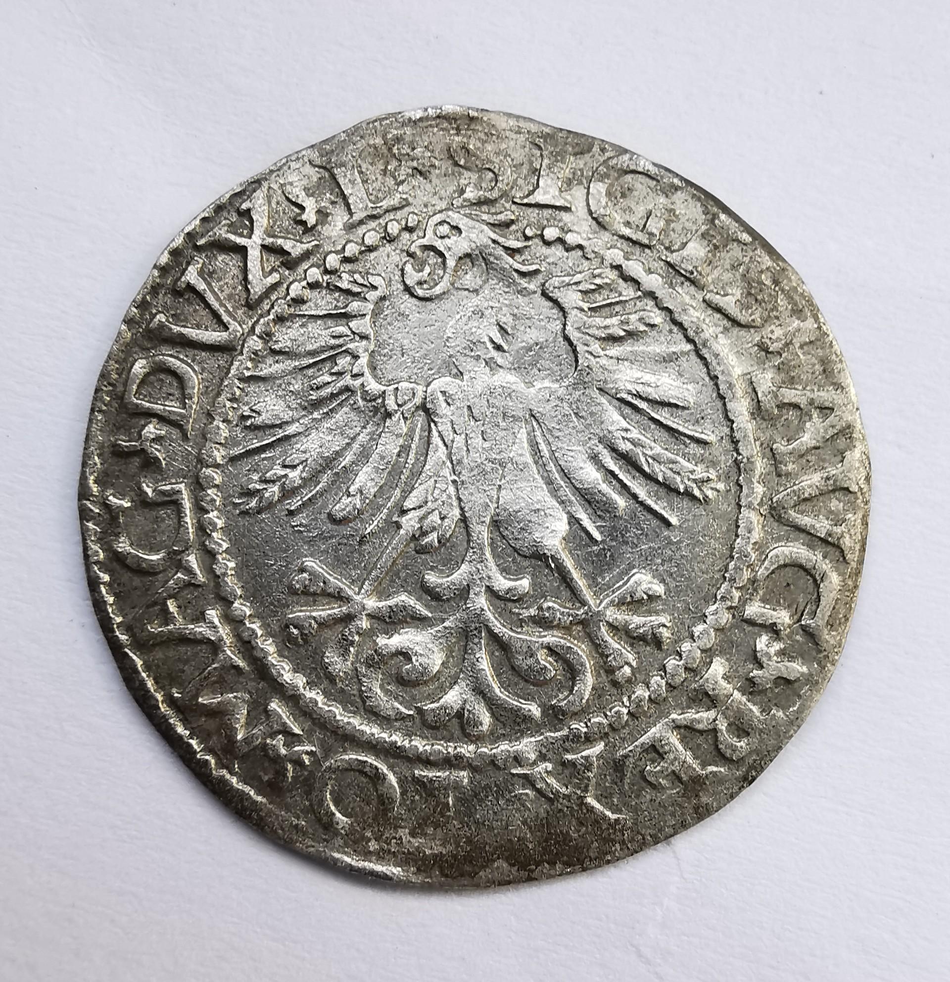 Žygimanto Augusto 1561 pusgrašis 
