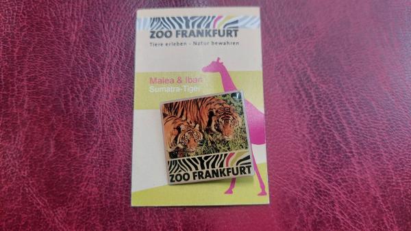 Ženkliukas ZOO Frankfurt Tigrai originalioje pak.