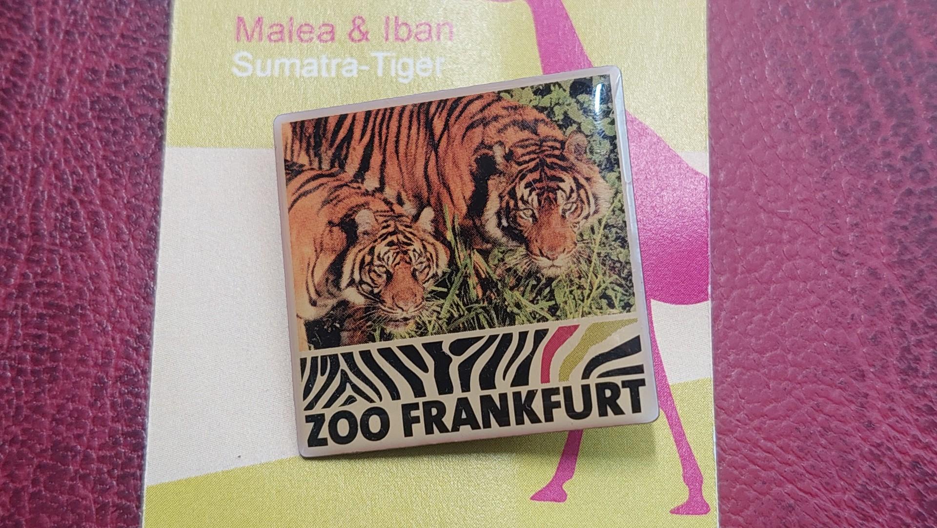 Ženkliukas ZOO Frankfurt Tigrai originalioje pak.