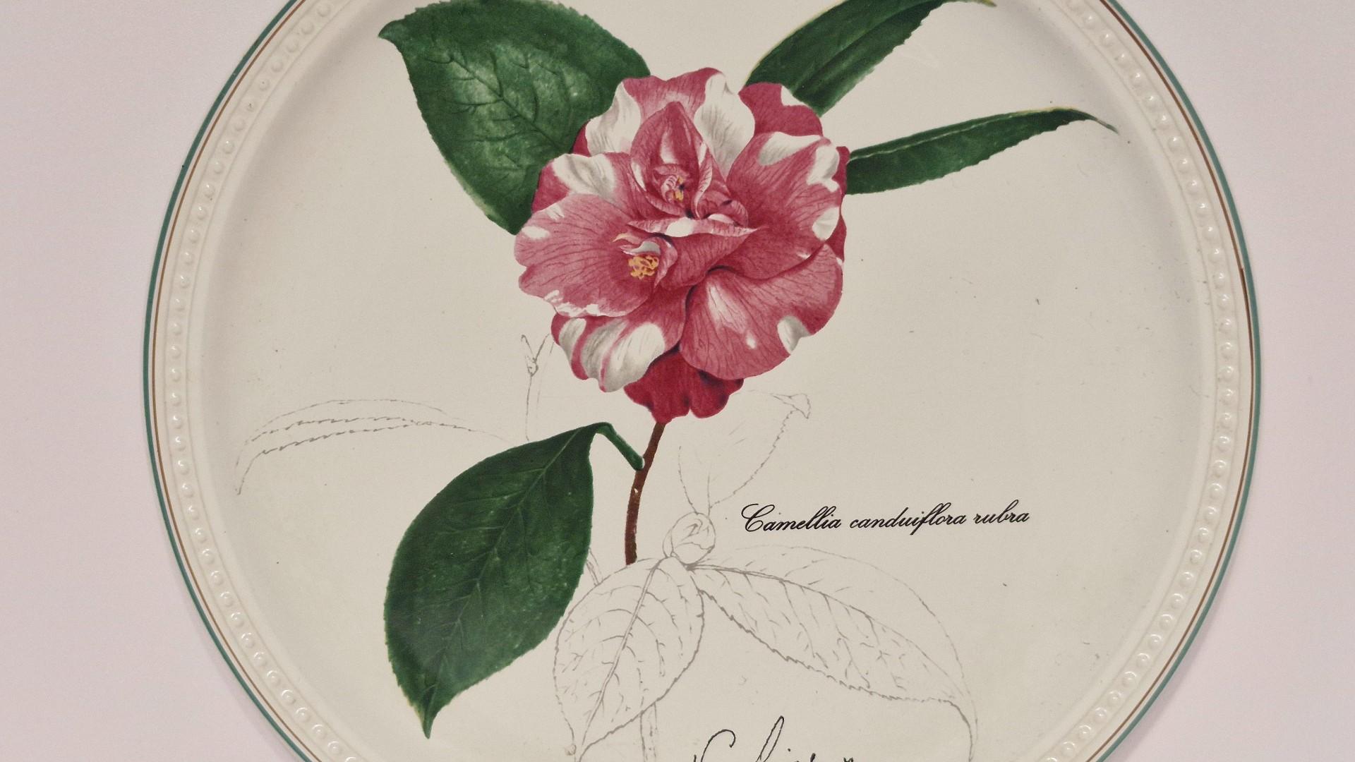 Villeroy & Boch porceliano lėkštė Camellia~23cm