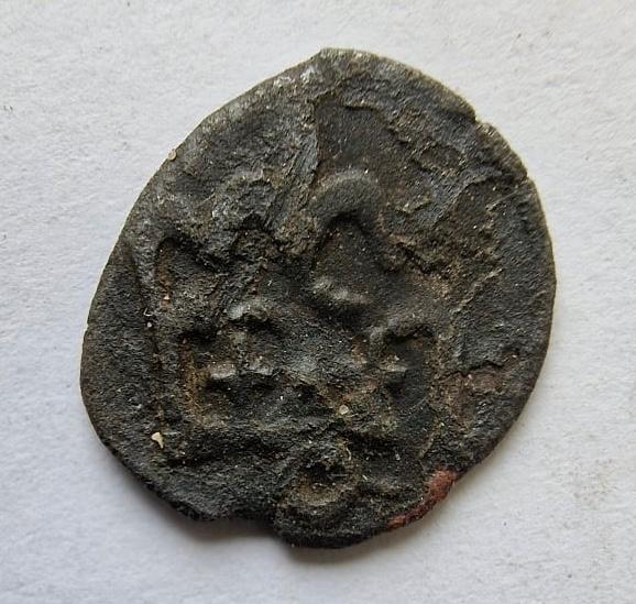 Jono Albrechto denaras 1492-1501