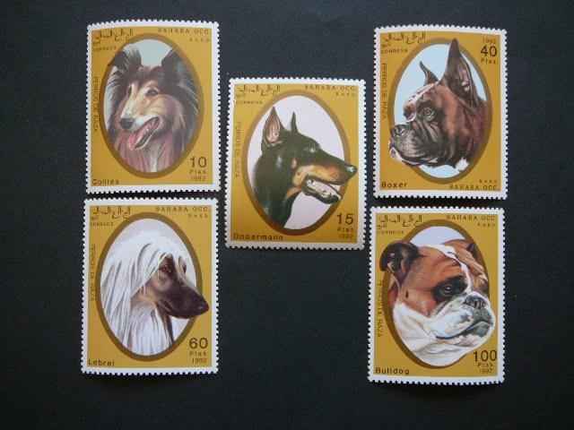 Sahara 1992 Sunys svarus #11