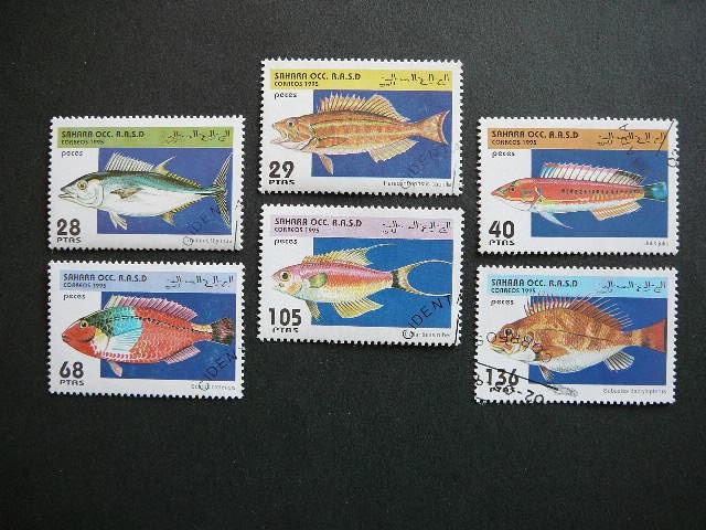 Sahara 1995 Zuvys antsp. #
