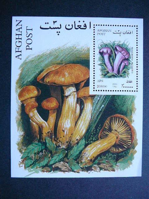 Afganistanas 2001 Grybai svarus #1