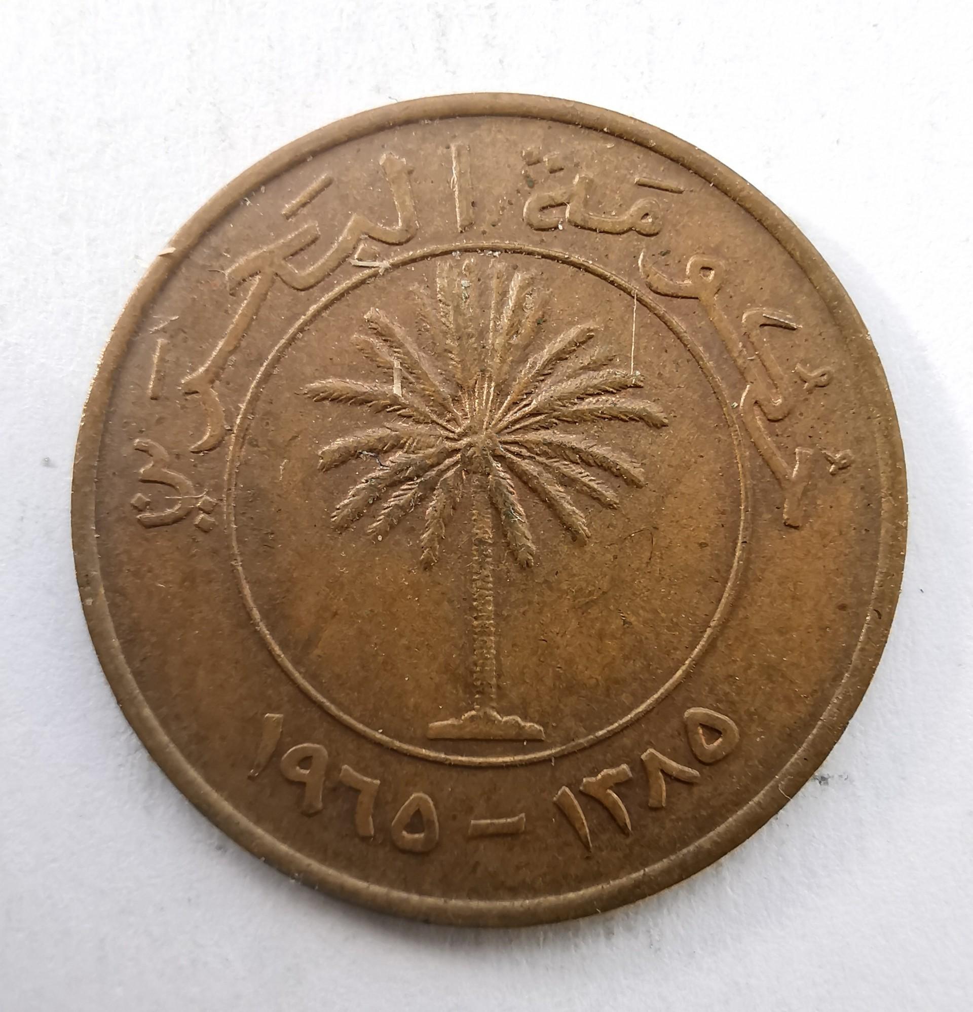 Bachreinas 5 fils 1965