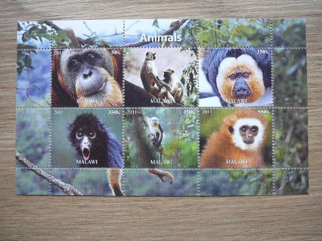 Malavis 2011 Bezdziones MNH #16