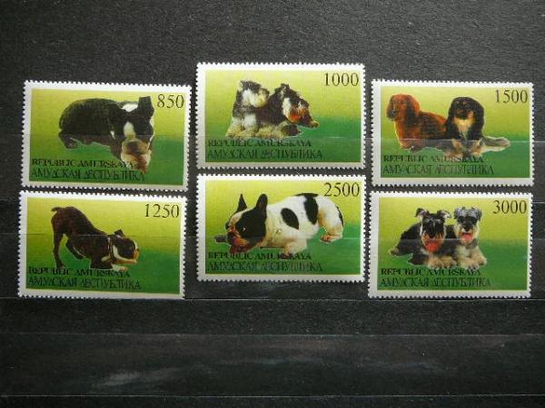 (R) Amuras 2000 Sunys svarus #