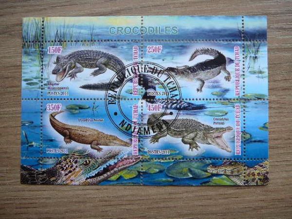 g508 Krokodilai Cadas 2011 antsp. # Reptilijos