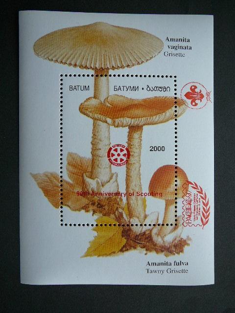 Batumis 2000 Grybai Skautai MNH #11r