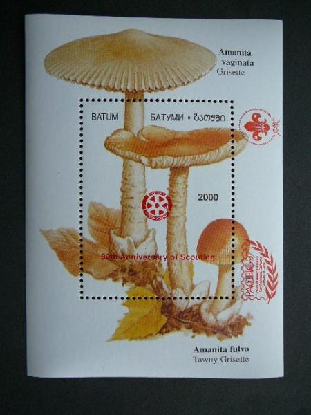 Batumis 2000 Grybai Skautai MNH #11r
