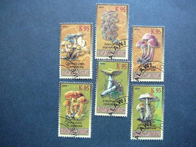 s753 Grybai Malavis 2010 antsp. #