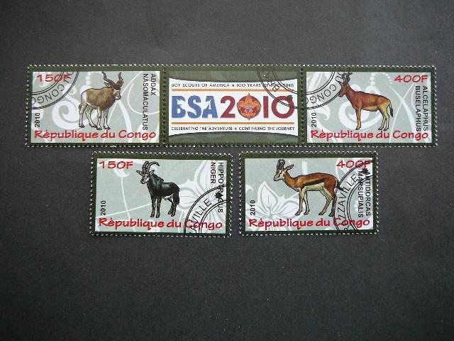 s637 Zverys Kongas 2010 antsp. #