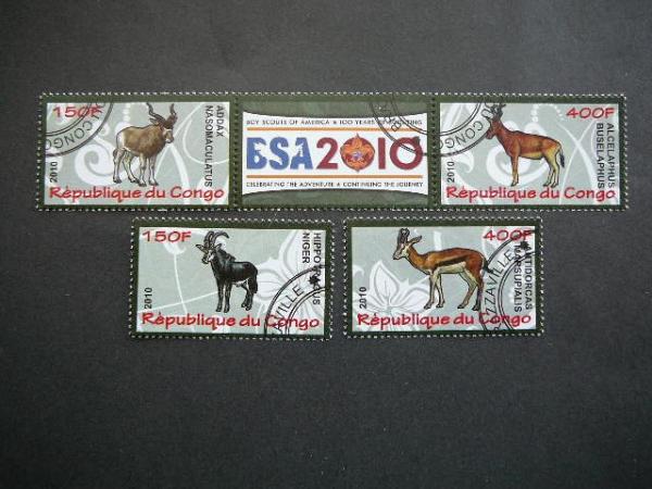 s637 Zverys Kongas 2010 antsp. #