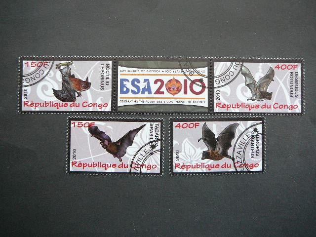 s632 Siksnosparniai Pauksciai Kongas 2010 antsp. #