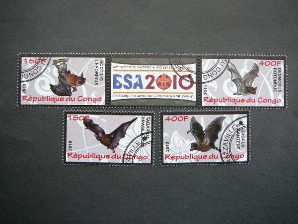 s632 Siksnosparniai Pauksciai Kongas 2010 antsp. #