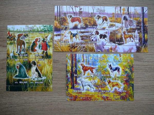 g583/5 Sunys Malavis 2012 antsp.