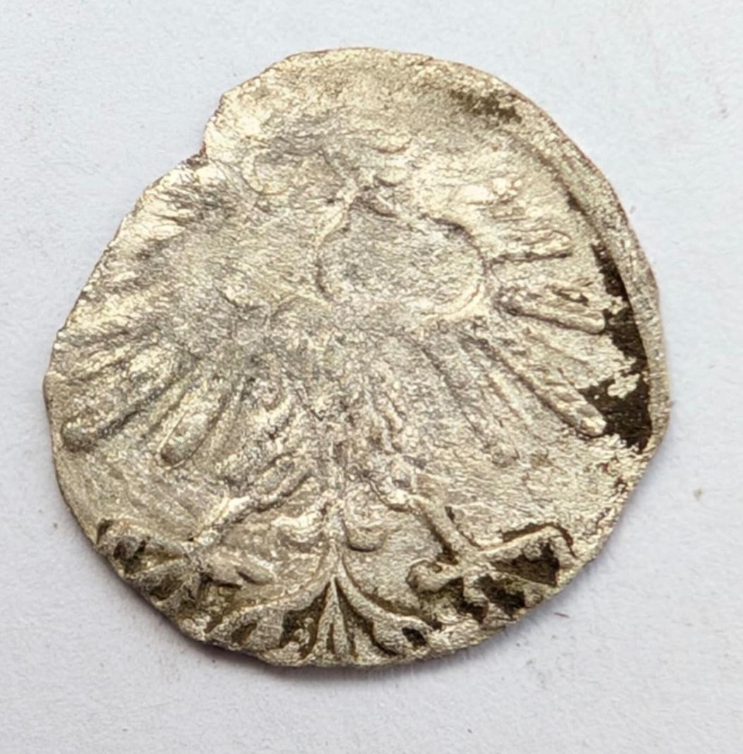 Retas Žygimanto Augusto 1560 denaras R