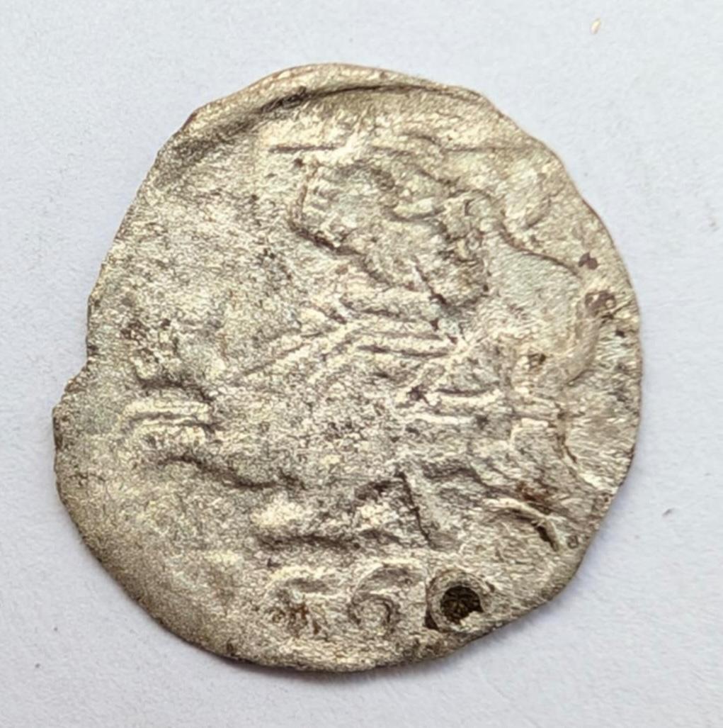 Retas Žygimanto Augusto 1560 denaras R