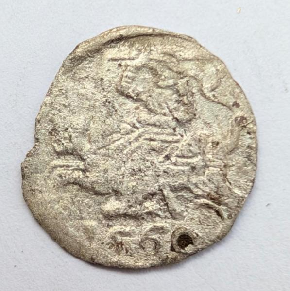 Retas Žygimanto Augusto 1560 denaras R