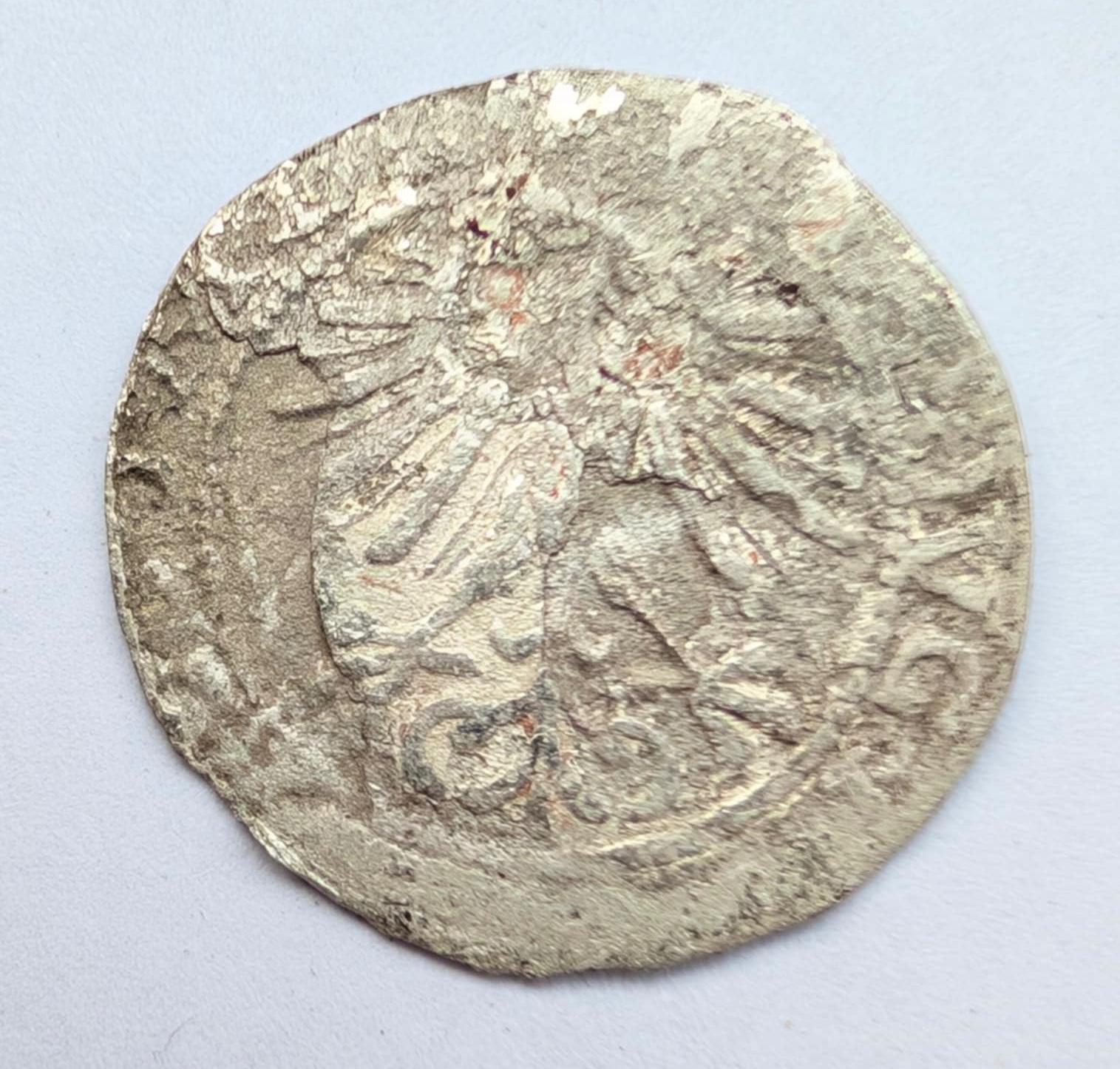 Žygimanto Augusto 1564 pusgrašis 
