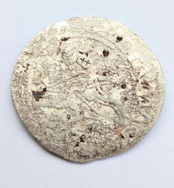 Žygimanto Augusto 1564 pusgrašis 