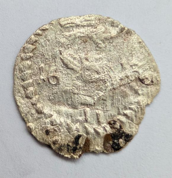 Žygimanto Vazos 1613 dvidenaris 