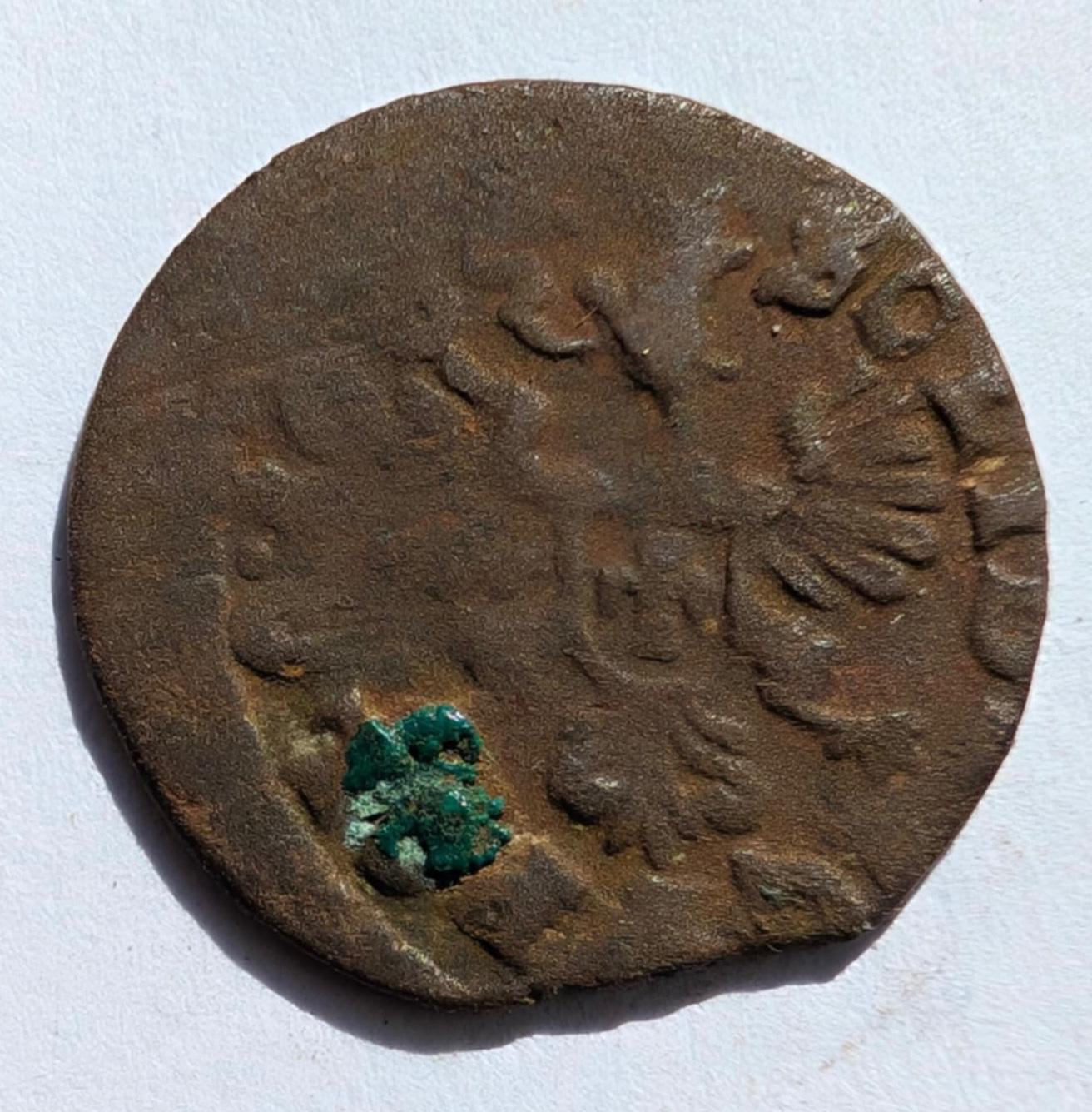 Jono Kazimiero 1665 šilingas 