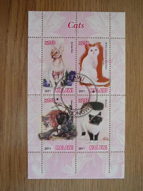 g441 Kates Malavis 2011 antsp. #